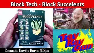 5-Below Block Tech Crassula Devil's Horn Succulent! Is it worth the $4?!