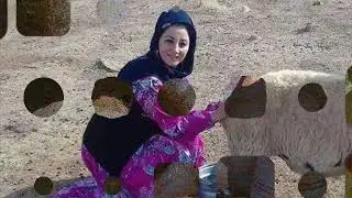Sefil Baykuş