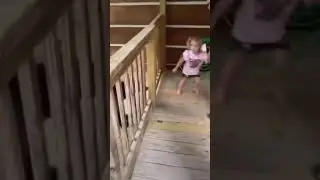 Can I Pet That Dog!?