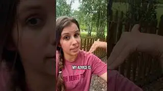 When You Buy Land- WAIT Before You Cut Timber!