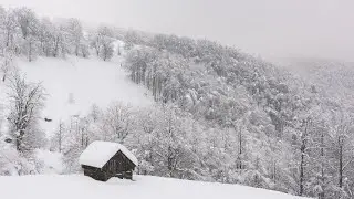 A calm playlist for a busy mind
