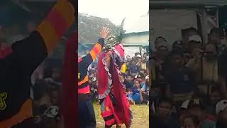 Surone legowo Putro ngamok #fypyoutube #kewanalas #legowoputro