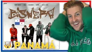 *Reacci&oacute;n* NERRY MONEY, BARBEL, FULO EL YEYO, MOLE, BVLGARICH - BISNERA