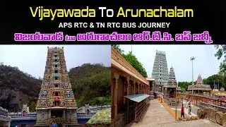 VIJAYAWADA To ARUNACHALAM | APS RTC & TN RTC BUS JOURNEY | Telugu Solo Traveller