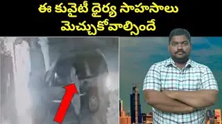 ఈ కువైటీ ధైర్య సాహసాలు || Kuwait Man In Kabd Area || SukanyaTv Telugu