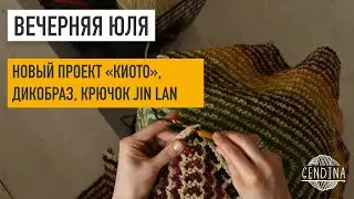 Новый проект «Киото», дизобраз, крючок Jin Lan. Прямой эфир