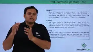 Port States in Spanning Tree