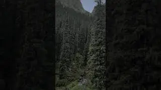 #shorts #shortvideo #nature #mountains #explore #lifestyle #naturelover #adventure #video #forest