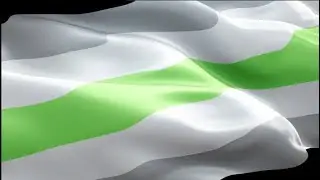 Genderfree flag video waving wind. LGBT Homosexual Rainbow Pride Flag background. LGBT Agender flag