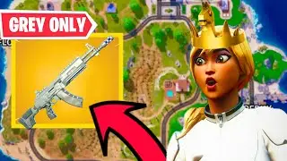 Grey Weapons Only Challenge (Can I Win?)
