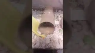 Mouse diet, I knew it was bigger than I thought. (Please read the description)