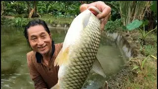 Cast Net Fishing In Village Pond | Gaanv Ke Taalaab Mein Jaal Daallakar Machhalee Pakadana
