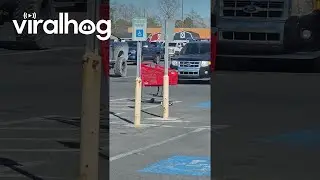 Malicious Shopping Cart Makes Targeted Attack || ViralHog