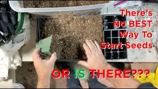There is NO BEST Way To Start Seeds... OR IS THERE?