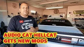 AUDIO CAT GET'S NEW MODIFICATION  DONE !!!!!!!!