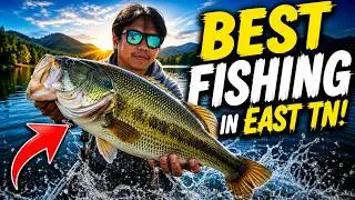 Fishing in East Tennessee | 2018