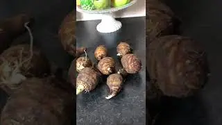 How to grow Taro |Arbi | kochu at home #foryou #fy #gardening #garden #gardeningtips #shorts #viral