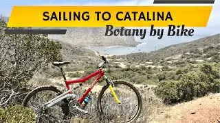 Exploring CATALINA - Sailing to CAT HARBOR & Mountain Biking the West end Trans Catalina Trail