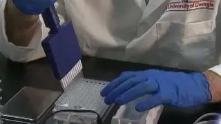 Researcher: Zika vaccine could be ready in two years