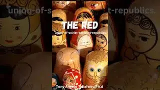 The red : Union of Soviet  Socialist republics