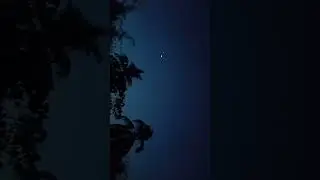 #eidmoon