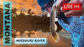 #LIVE #FISHING - E46P2 - Multi-species fishing on the Missouri river!