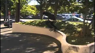 JR Mullally - Low Keyed