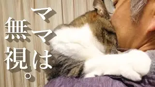 大嫌いなママを無視してパパに助けを求める猫