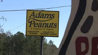 Adams’ Peanuts & Country Store stops traffic on one of Virginia’s busiest roads