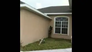 Cape Coral Florida Real estate bargains