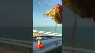 Road to Heaven,Road To Rann of Kutch, Gujarat.( Part 04)...