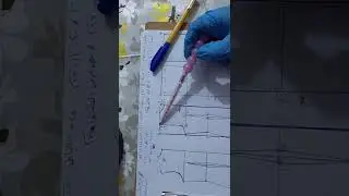 رسم الكورساج قالب الخلف اعداد الست دعاء الحسيني بشكل مبسط