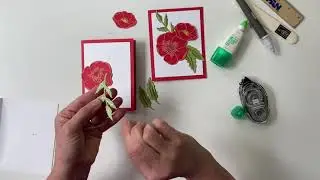 Poppy cards
