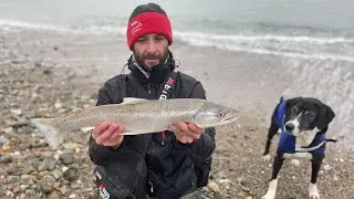 Chasing Bass /Landing Bycatch