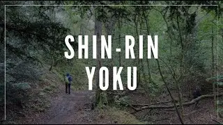 SHIN-RIN YOKU: The art of forest bathing
