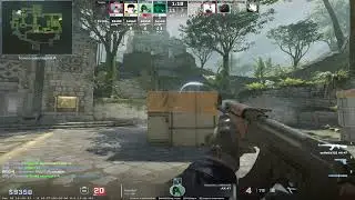 zeus esports full team