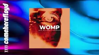 Mike Williams & Firebeatz - Womp