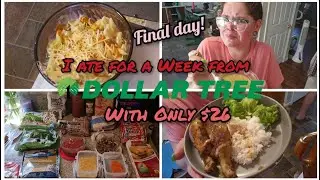 LAST DAY!! Eating From Dollar Tree For a Week | $25 Food Budget | Small Budget | Cheap Meal Plan