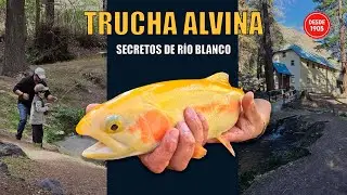 Piscicultura R&iacute;o Blanco - El lugar que cambi&oacute; la pesca en Chile PARA SIEMPRE