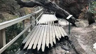 Betty's Bay - the big fire