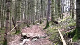 MJRacing Pre-Season