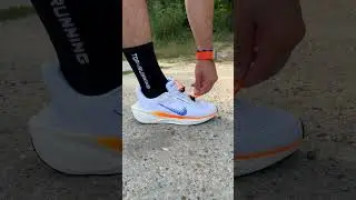 nike pegasus easyon 🧐