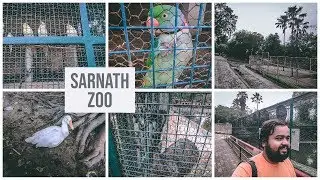 Varanasi Tourist Places - Sarnath Zoo Ghar Travel Vlog | Banaras Deer Park | सारनाथ चिड़ियाघर