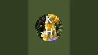 Kristina Nikadimus est en direct&nbsp;!
