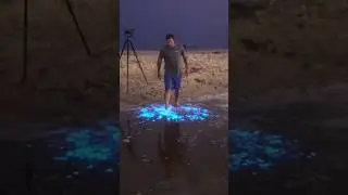 Why Does This Beach Glow Blue at Night? 😱🌊