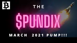 PundiX(NPXS) HUGE MOVE COMING!! Up 150% in 2 weeks!
