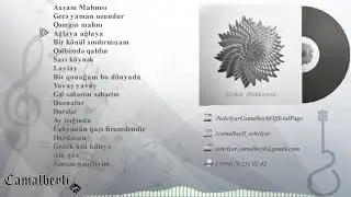 Ş&ouml;vkət Ələkbərova - LP v.04 (Full albom)