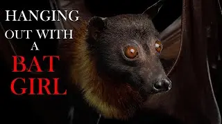 Hanging Out With the Bat Girl in Your Attic | ASMR Roleplay | (F4A) | wholesome | sleep aid |