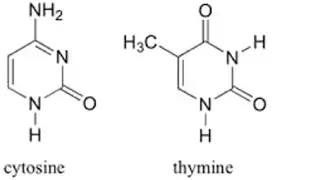 non protein nitrogeal substance/ paramedicalsciencepmb information about science