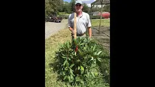 We Offer B&B Kalmia and Rhododendron